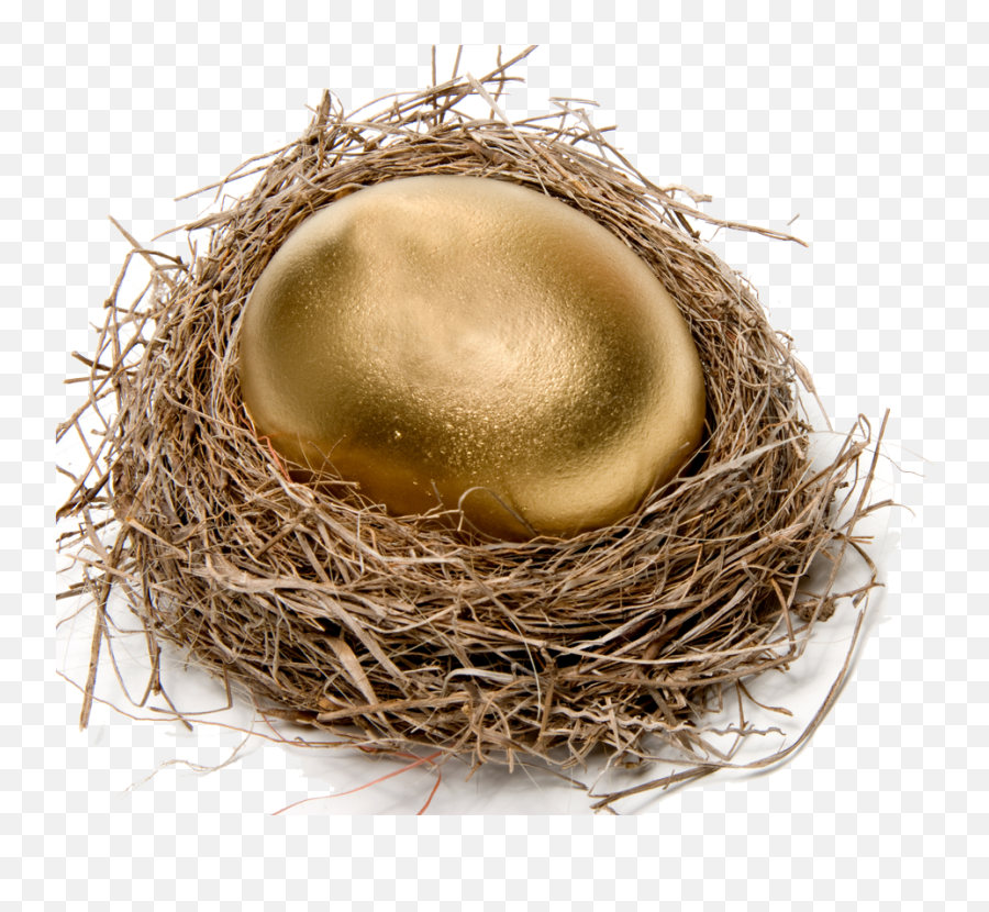 Chicken Easter Egg Nest Stock Photography - Bird Nest Egg Png,Bird Nest Png