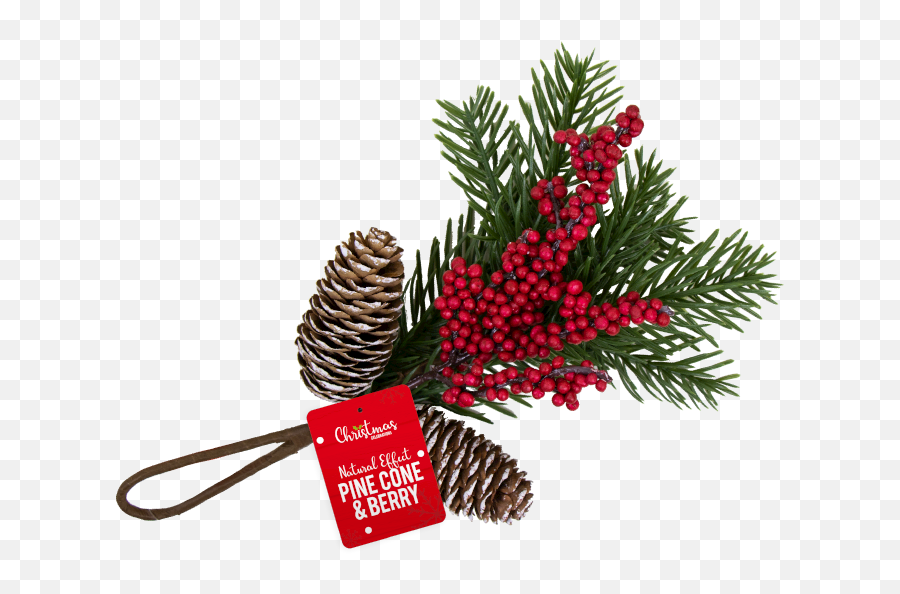 Christmas Pine Cone U0026 Berry Decoration - Illustration Png,Pine Cone Png