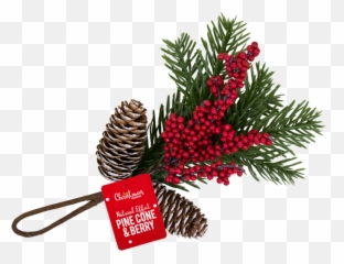 Christmas Pine Cone U0026 Berry Decoration - Illustration Png,Pine Cone Png