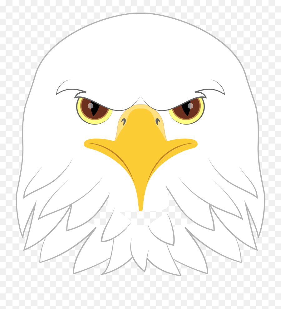 Bald Eagle Face Clipart Free Download Transparent Png - Bald Eagle,Bald Eagle Head Png
