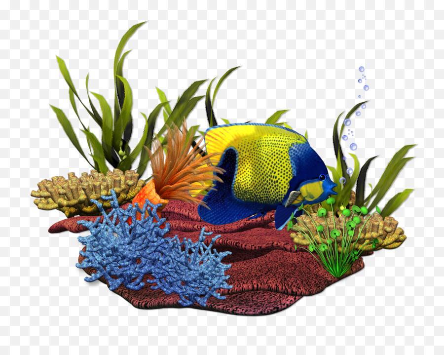 Seaside Clipart Ocean Life - Aquarium Png Download Full Ocean Life Png Real,Aquarium Png