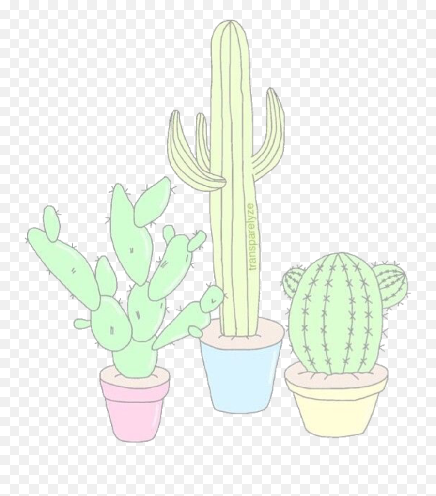 Download Hd Aesthetics U0026 Overlays Cacti Tumblr Drawings - Hedgehog Cactus Png,Cute Cactus Png