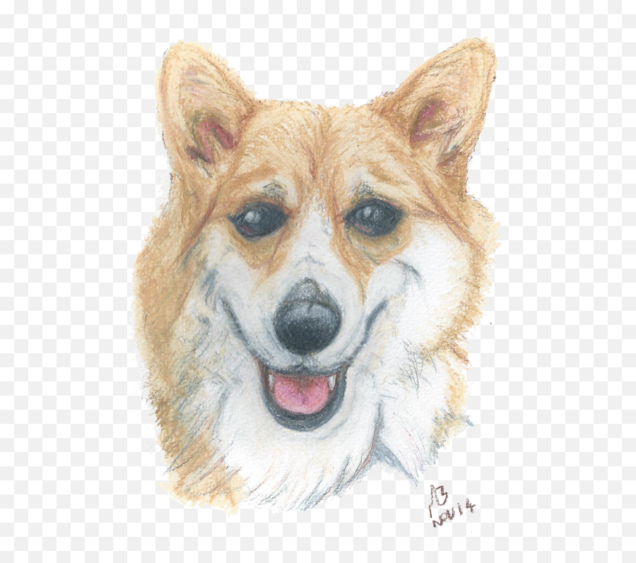 Corgi Png - Corgi Dog Watercolour Pencil Drawing Pembroke Welsh Corgi,Corgi Png