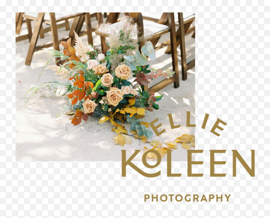 Ellie Koleen Photography Png