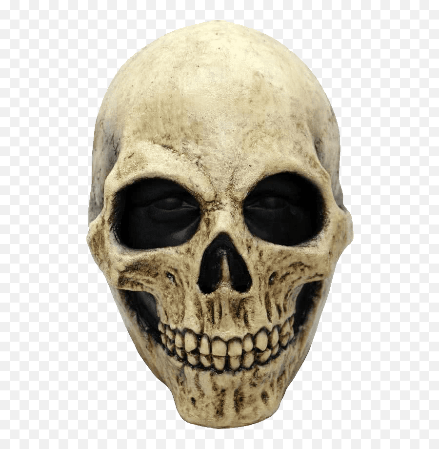 Download Free Png Skull - Dlpngcom Masque Tete De Mort,Skull Face Png