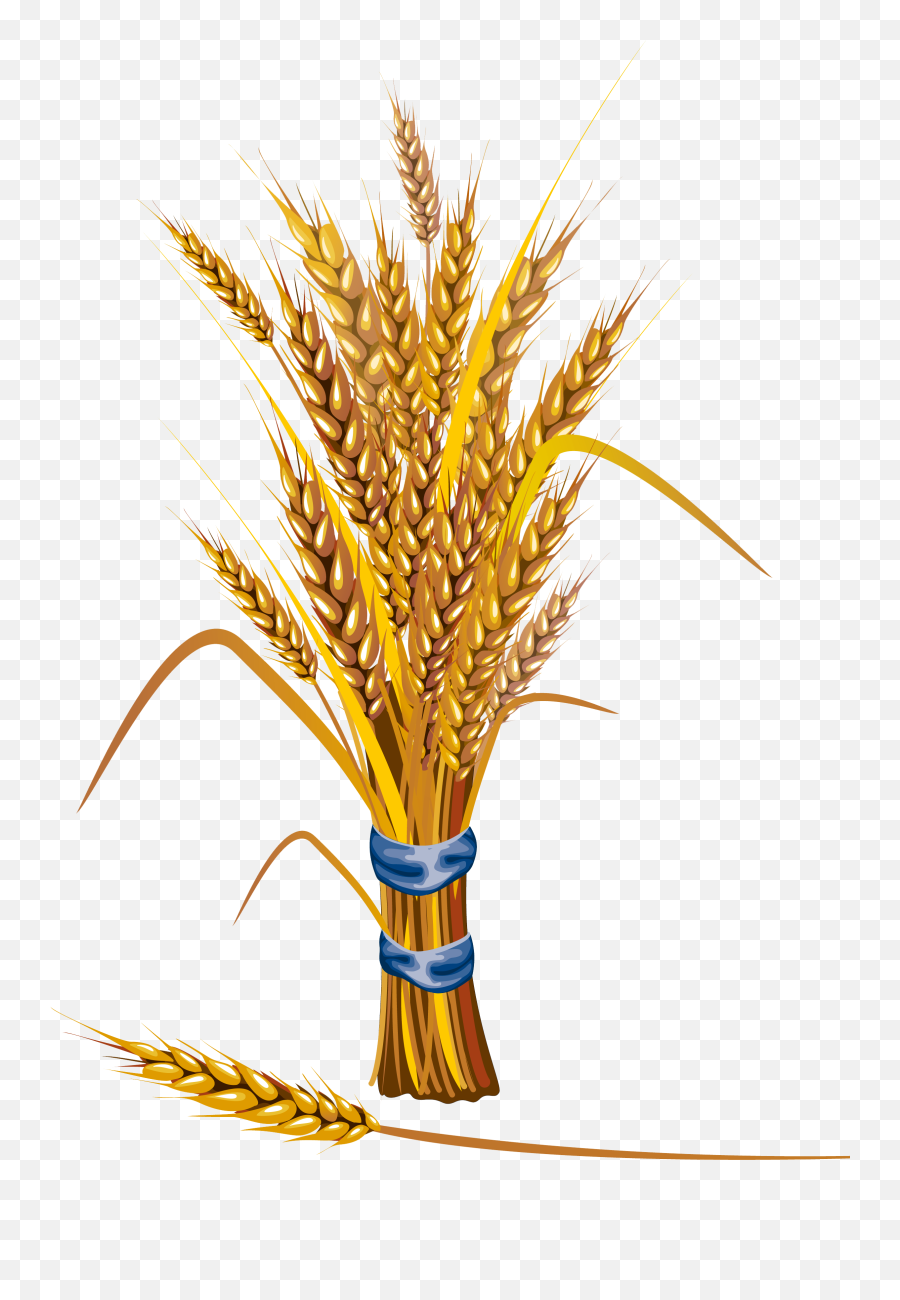 Symbol Of A Desta Wheat Png Transparent Background Free - Wheat Icon,Wheat Png