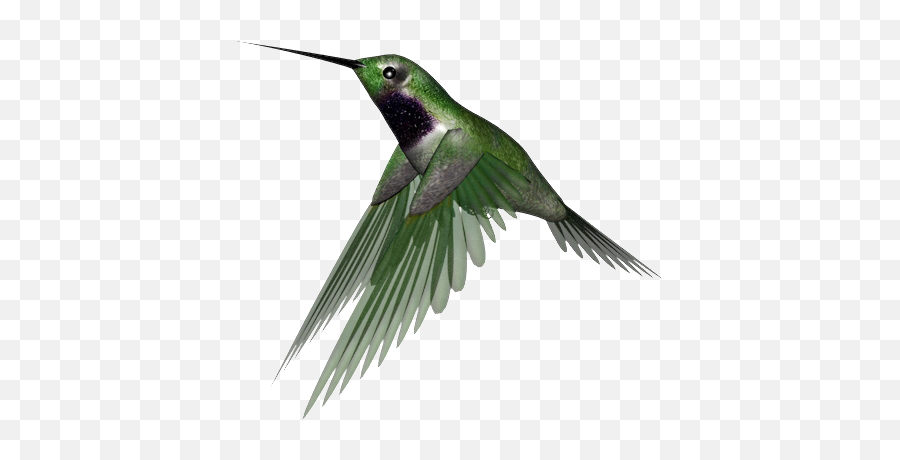 Hummingbird Png Clipart - Humming Bird Transparent,Hummingbird Png