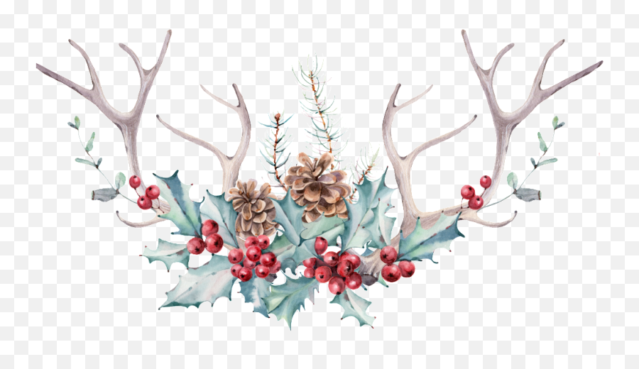 Download Hd Hand Painted Antlers And Flowers High - Seasons Greetings Card Design Png,Christmas Antlers Png