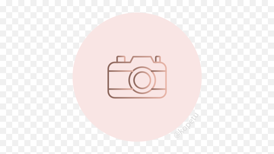 Light Pink Icons - Digital Camera Png,Instagram Camera Icon