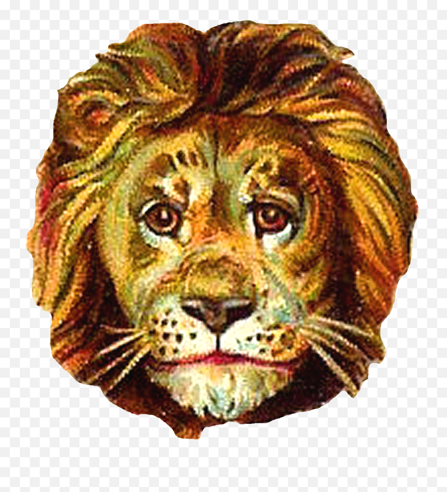 Lion Head Clip Art Digital Download - Portable Network Graphics Png,Lion Head Transparent