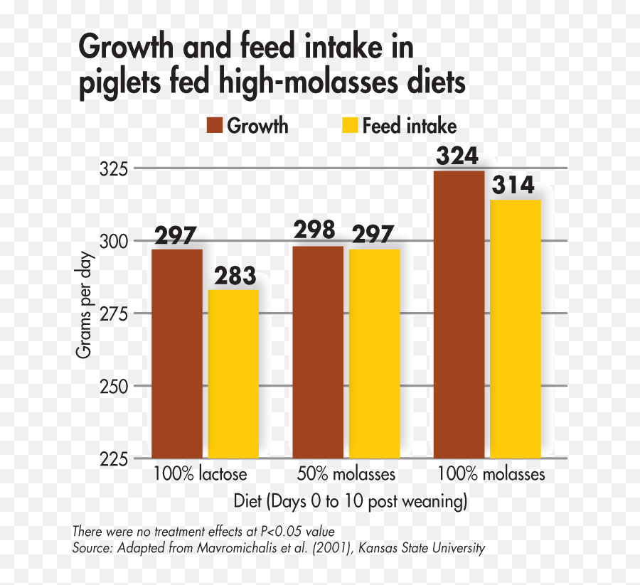 Add Value To Piglet Diets With Molasses Wattagnet - Screenshot Png,Piglet Png