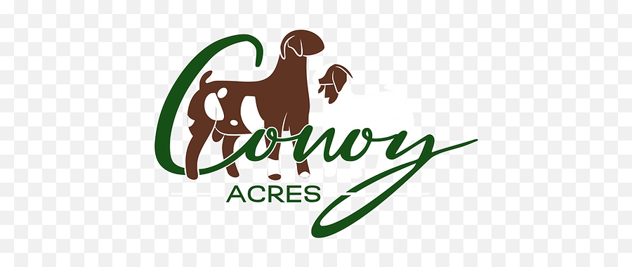 Does Conoy Acres Farm - Language Png,Madonna Icon Lifetime Legacy