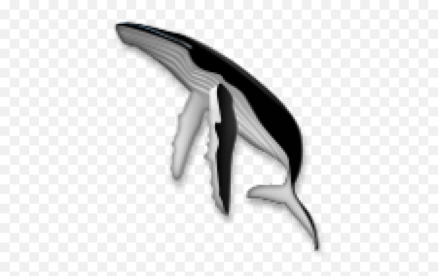 Cropped - Whaleiconlgpng Png,Lg Icon
