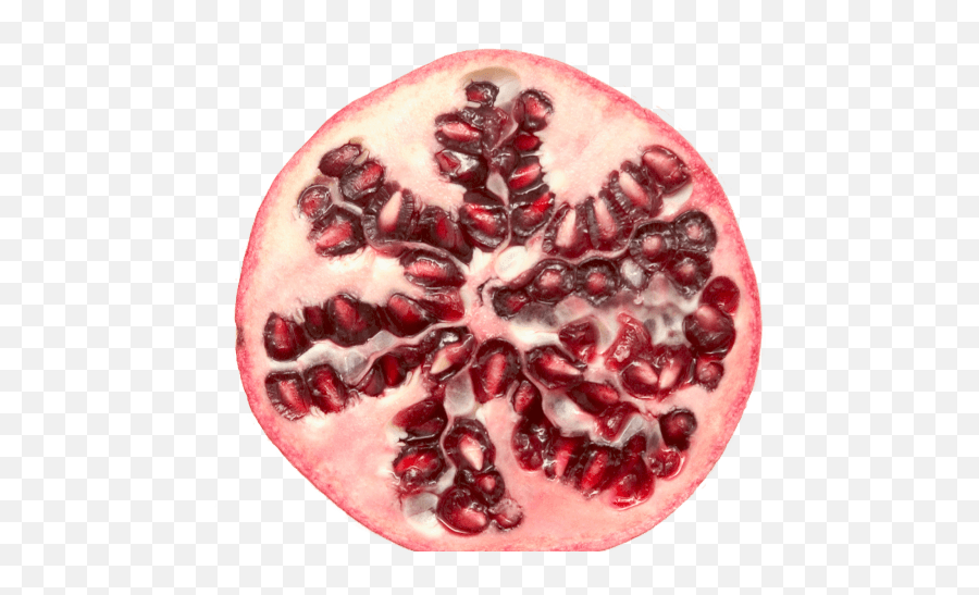 Transparent Png Image - Pomegranate,Pomegranate Transparent