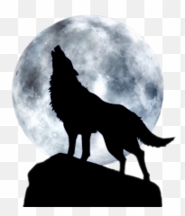 Wolf Howling Png - At Red Moon