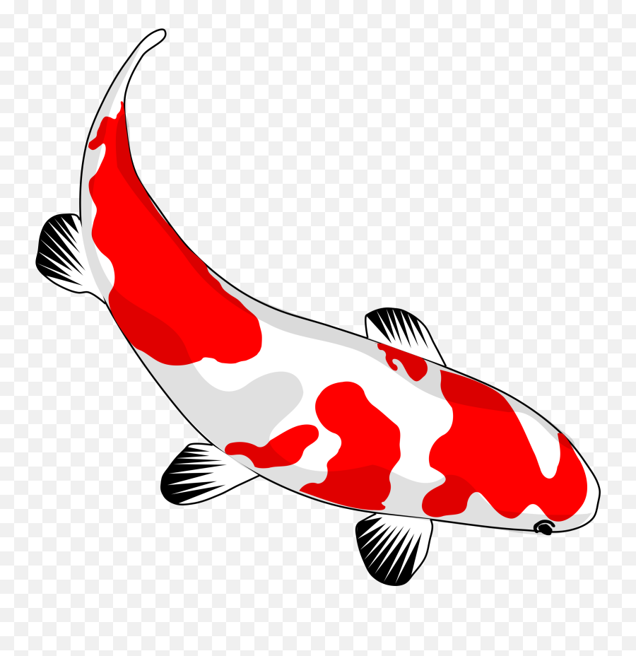 Koi Fish Clipart Png - Koi Fish Clipart,Fish Png