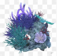 Kelp Png - Coral Anemone Kelp Seaweed Sealife Cartoon Purple Seaweed,Seaweed Png