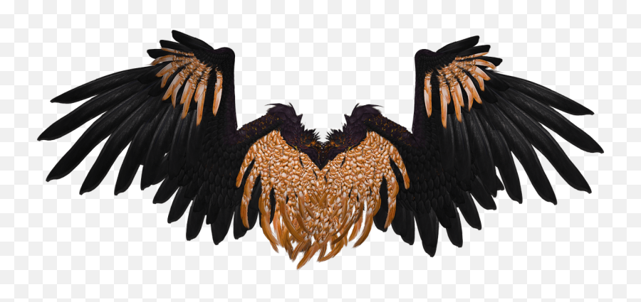 Crow Wings Png Transparent - Black Angel Wings Art,Wing Png