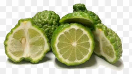 Buy Kaffir Limes Online - Key Lime Png,Limes Png