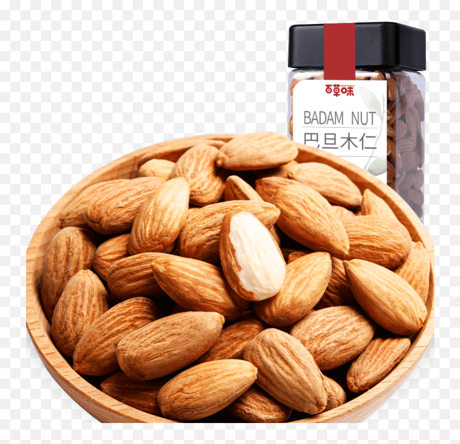 Download Almond - Almond Png,Almond Transparent