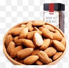 Download Almond - Almond Png,Almond Transparent