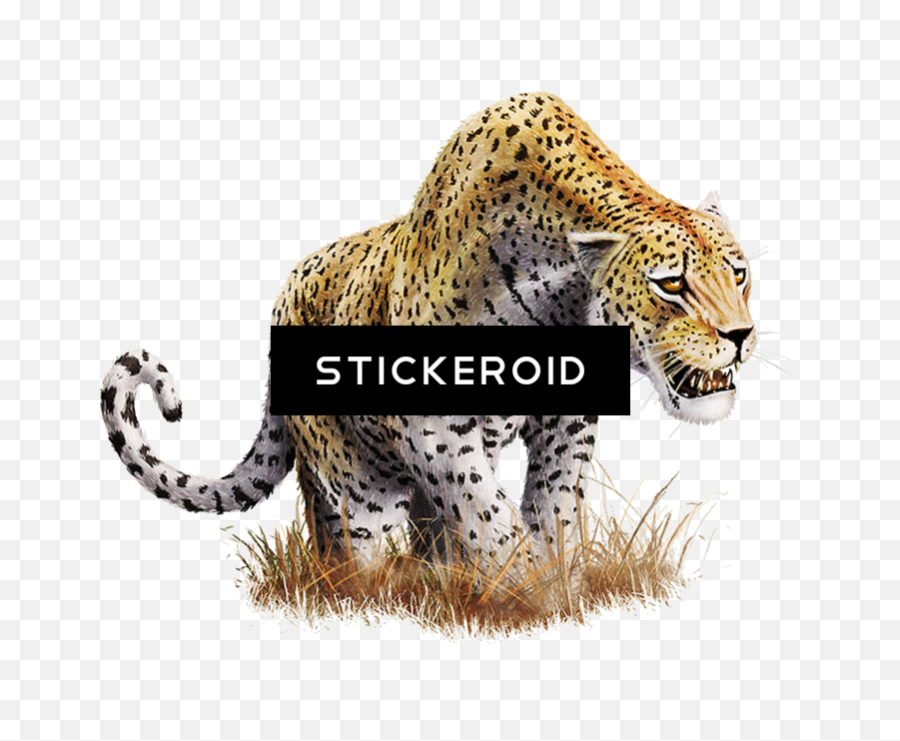 Download Leopard Png - Big Cat Transparent Portable Network Graphics,Cat Transparent Background