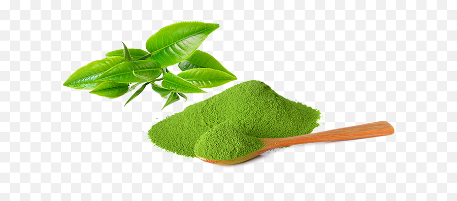 261771329 Green Tea V05 7316 Kbyte - Green Tea Matcha Png,Green Tea Png