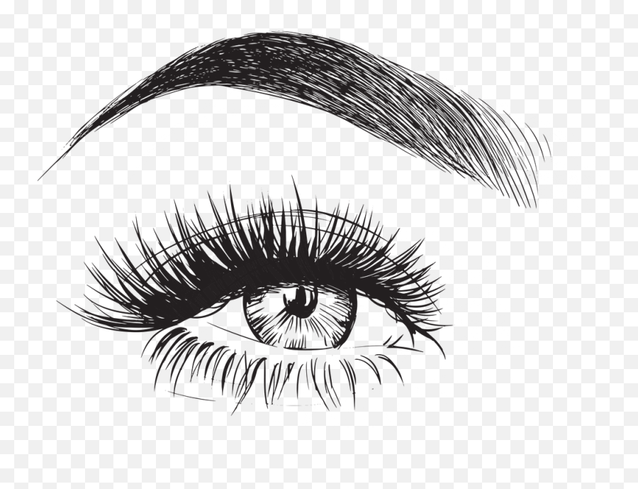 Eyebrow Drawing - Eyelashes Drawing Png,Brows Png