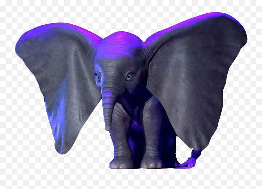 Dumbo Png - Dumbo 2019 Character Png,Dumbo Png