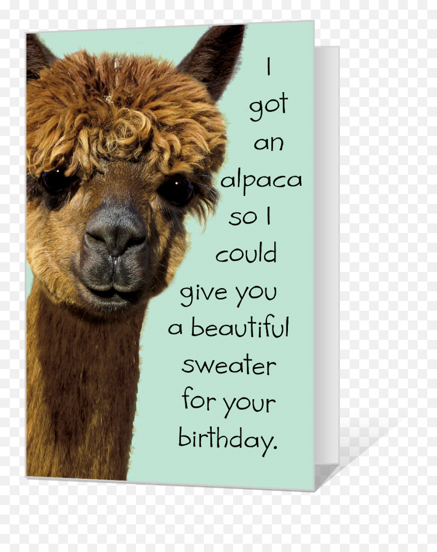 Birthday Alpaca Printable American Greetings - Alpaca Png,Alpaca Png