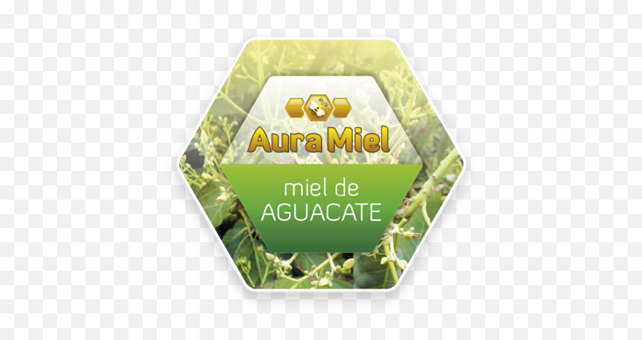 Miel De Aguacate Auramiel Png