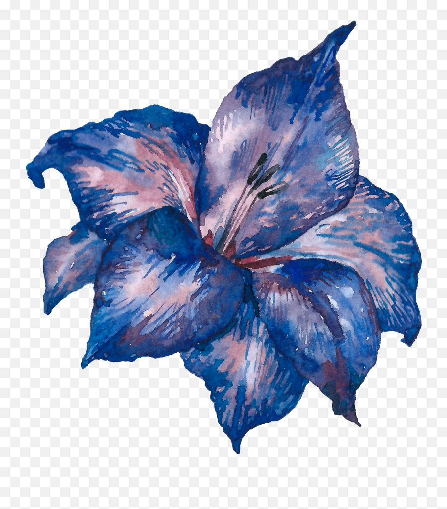 Hand Painted Blue Purple Flowers Png Transparent - Portable Blue Purple Flower Png,Purple Flowers Png