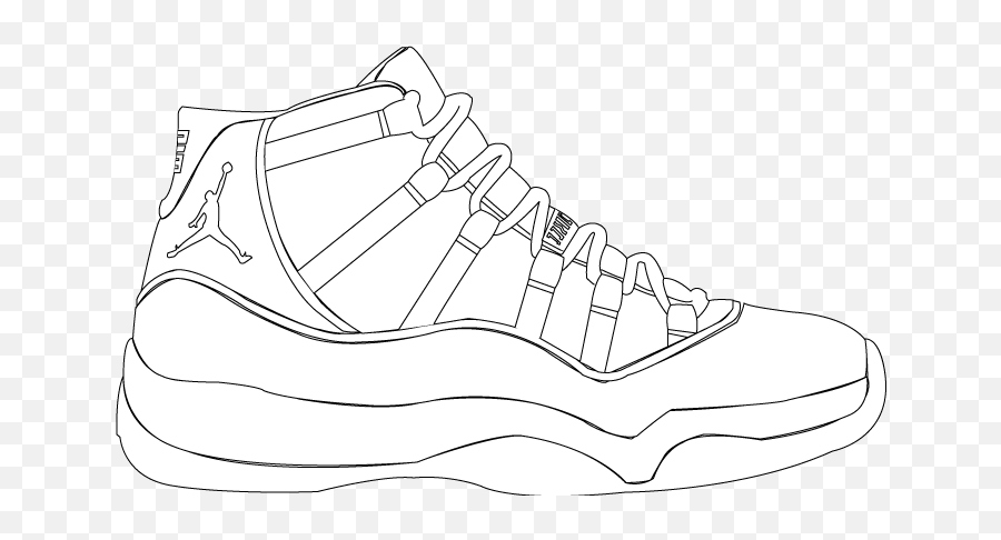 Download Hd Drawn Jordania Concord - Jordan 11 Shoe Drawings Jordan Tracing Png,Jordan Shoe Png
