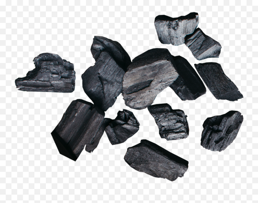 Coconut Charcoal - Horizontal Png,Charcoal Png