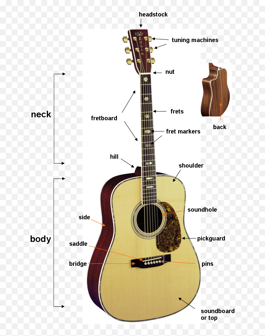 The Parts Of Guitar - Guitarnickcom Guitar Martin D41 Png,Acoustic Guitar Png