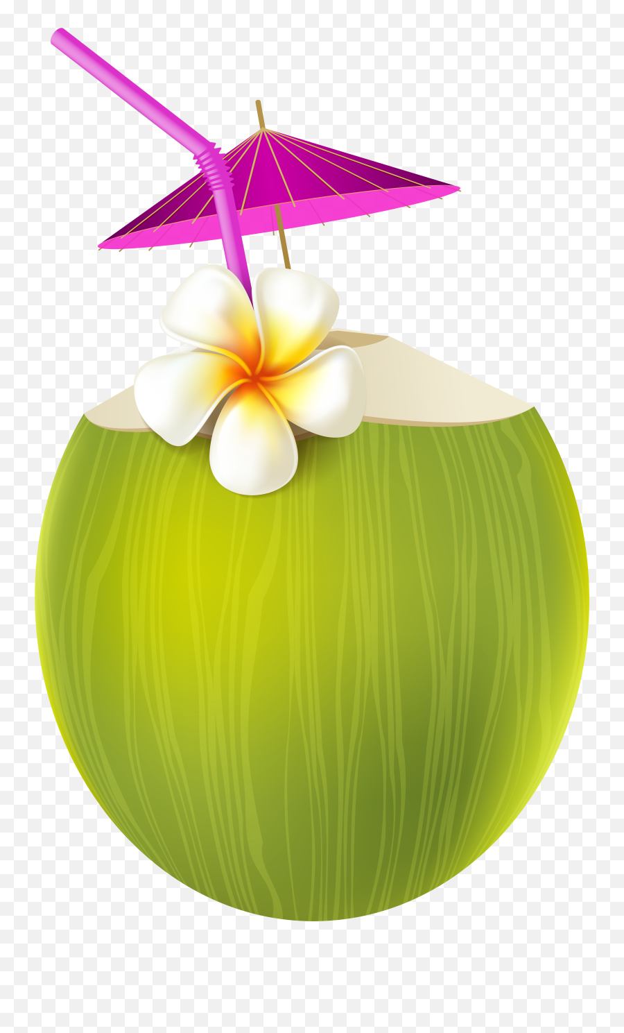 Pin By Muttc - Coconut Drink Png,Moana Png Transparent