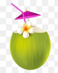 Pin By Muttc - Coconut Drink Png,Moana Png Transparent