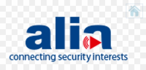 Download Banner Alia - Graphics png
