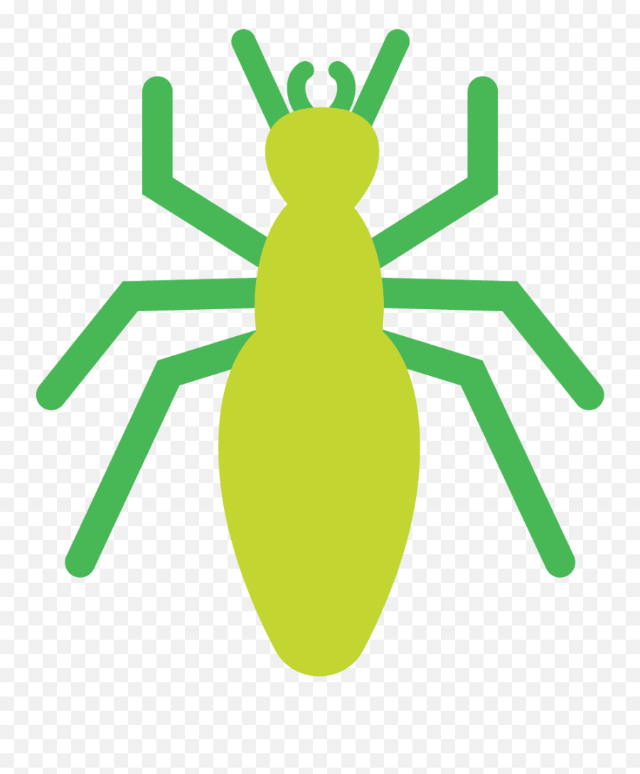 Green Pest Solutions Paramount Safer Effective - Parasitism Png,Pest Icon