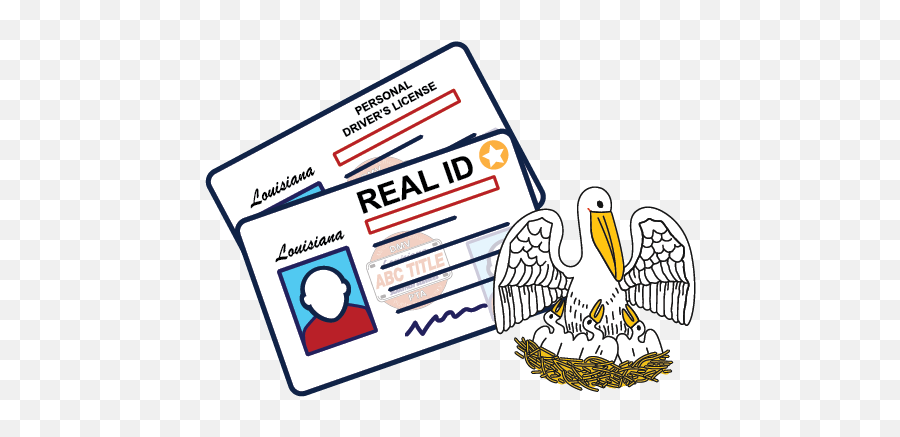 Louisiana State Id Abc Title - Language Png,My Passport Icon