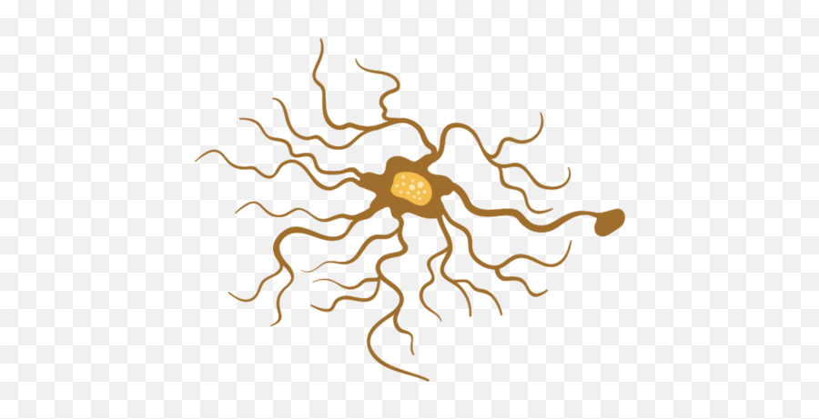 Free Neuron 1201280 Png With Transparent Background - Neurone Png,Neurons Icon