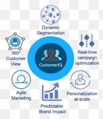 Customeriq - Neal Analytics png