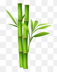 Library Of Bamboo Tree Image - Bamboo Png,Bamboo Leaves Png