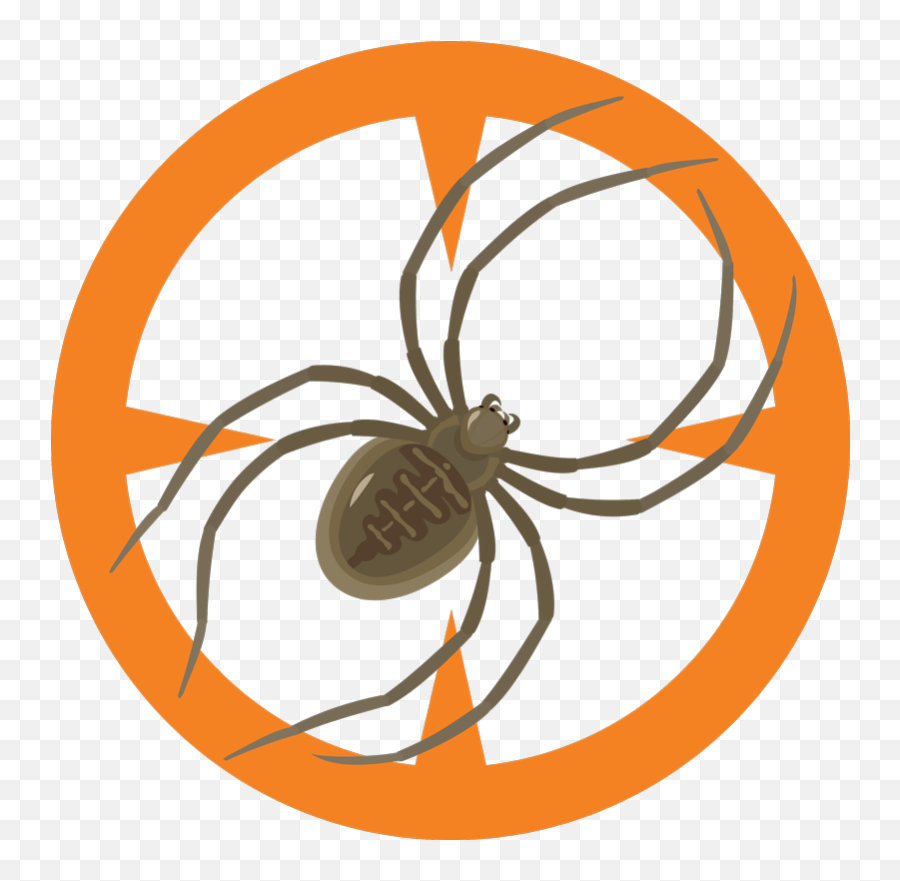Spiders - Clark Exterminatingclark Exterminating Png,Spider Icon Png