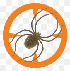 Spiders - Clark ExterminatingClark png