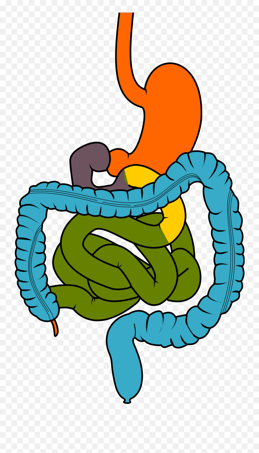 Filegisystemsvg - Wikimedia Commons Png,G.i Global Icon