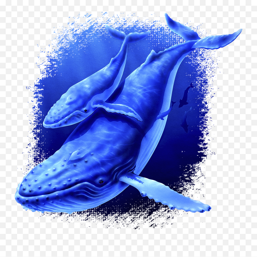 Download Whale Fabric Humpback - Common Bottlenose Dolphin Png,Humpback Whale Png