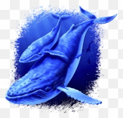 Download Whale Fabric Humpback - Common Bottlenose Dolphin Png,Humpback Whale Png