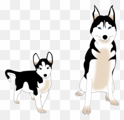 Dog Siberian Husky Puppy Friend Animal - Cachorro Husky Siberiano Desenho Png,Husky Png