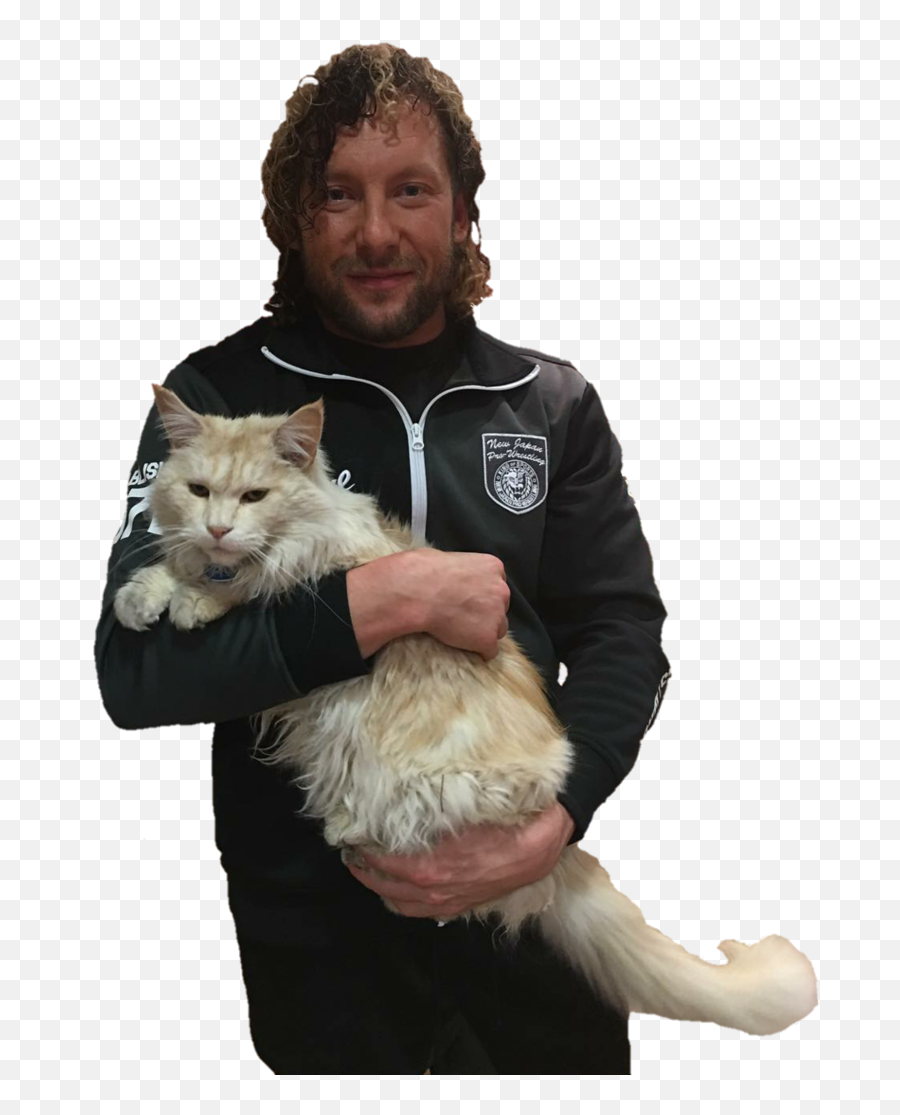 Download Kenny Omega Png Photo - Kenny Omega Cat,Kenny Omega Png